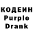 Codein Purple Drank Holly Books