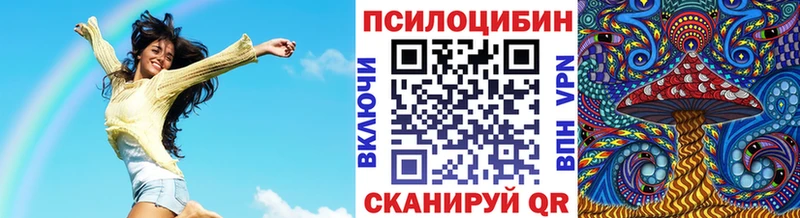 дарнет шоп  Шумерля  Галлюциногенные грибы мицелий 